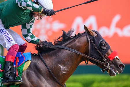 Raging Torrent wins the Met Mile at Saratoga Race Course 