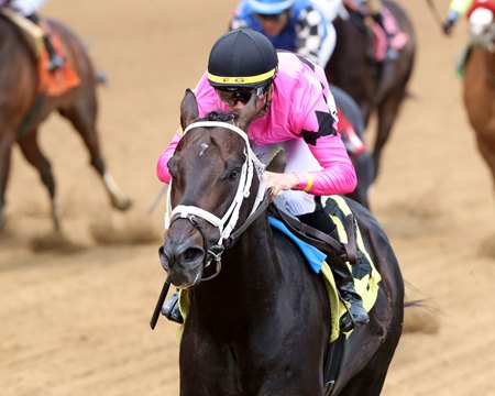 Most Wanted wins an allowance race at Churchill Downs