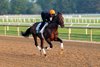 Sovereignty at Saratoga Racetrack, Saratoga Springs, NY, June 5, 2025, Javier Molina-BloodHorse