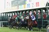 DRAMA CHORUS wins 2025 Brooks Fields Mile Stakes at Canterbury Park