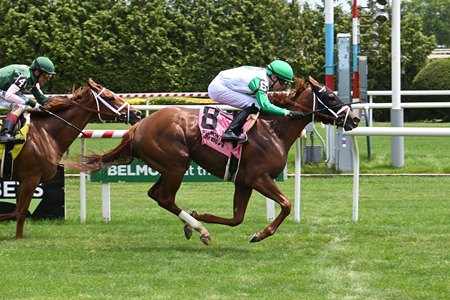 Nacho Problem breaks her maiden at Belmont at the Big A