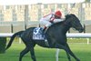 Forbidden Apple wins The Kelso Handicap at Belmont on October 8, 2000