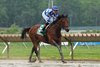 Bracket Buster #05 with Axel Concepcion aboard won the $150,000 NYRA Bets Pegasus Stakes at Monmouth Park on Saturday June 14, 2025.  Photo by Taylor Ejdys/EQUI-PHOTO