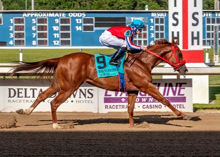High Class Trip breaks her maiden at Evangeline Downs