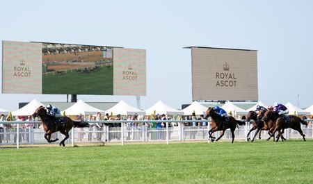 Trinity College wins the Hampton Court Stakes in dominating fashion at Ascot Racecourse