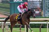 Nitrogen with Jose Ortiz wins the Wonder Again Stakes (Grade II) at Saratoga Race Course in Saratoga Springs, NY., on June 7, 2025.