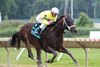 Bishops Bay won the $150,000 Grade III Salvator Mile at Monmouth Park on Saturday June 14, 2025.  Photo by Julia Sebastianelli/EQUI-PHOTO