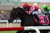 Dream On #8 with Javier Castellano riding won the $400,000 Grade 3 Penn Mile at Penn National Racecourse in Grantville, Pa. on Friday June 27, 2025. Photo By Taylor Ejdys/EQUI-PHOTO