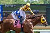 Bank Frenzy with Manuel Franco wins the Commentator Stakes at Saratoga Race Course in Saratoga Springs, NY., on June 4, 2025.
