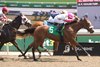Border Czar, Maiden Win, Woodbine, June 7 2025