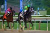 A. P. Kid with John Velasquez wins the Pennine Ridge (G3) at Saratoga Race Course in Saratoga Springs, New York, on June 7, 2025.