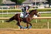 Baeza at Saratoga Racetrack, Saratoga Springs, NY, June 5, 2025, Javier Molina-BloodHorse