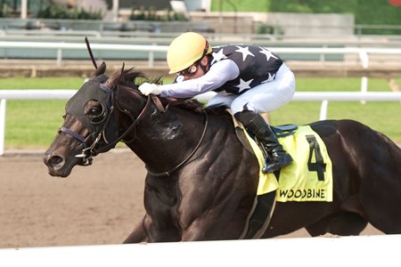 Notorious Gangster wins the Queenston Stakes at Woodbine