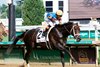 Mindframe wins 2025 Stephen Foster Stakes at Churchill Downs