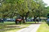Scene, 2025 OBS June Sale