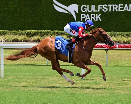 Pure Eloquence breaks her maiden at Gulfstream Park