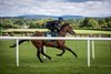 Lot 20, 2025 Goffs Classic Breeze, Naas Racecourse