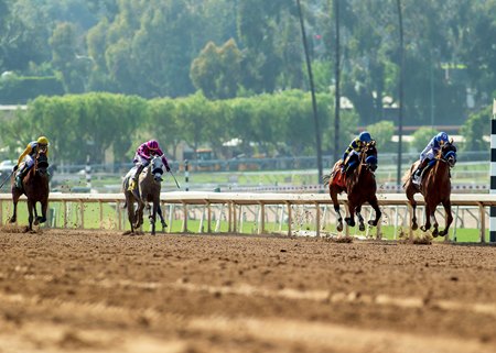 Racing at Santa Anita Park