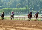 Cash Call and jockey Juan Hernandez, second from right, win the Grade III, $100,000 Summertime Oaks, Saturday, June 7, 2025 at Santa Anita Park, Arcadia CA,
&#169; BENOIT PHOTO