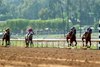 Cash Call and jockey Juan Hernandez, second from right, win the Grade III, $100,000 Summertime Oaks, Saturday, June 7, 2025 at Santa Anita Park, Arcadia CA,
&#169; BENOIT PHOTO