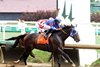 EAST AVENUE wins 2025 Matt Winn Stakes at Churchill Downs
