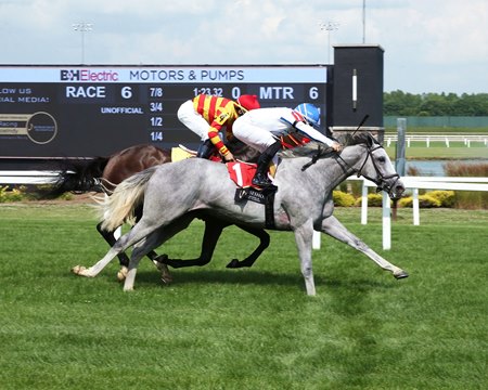 Ziggity Zag wins her debut on the turf at Horseshoe Indianapolis