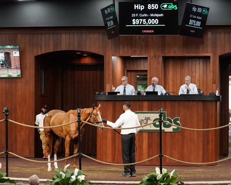 The Curlin filly consigned as Hip 850 in the ring at the OBS June Sale