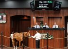 Hip 850, 2025 OBS June Sale