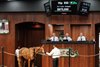 Hip 850, 2025 OBS June Sale