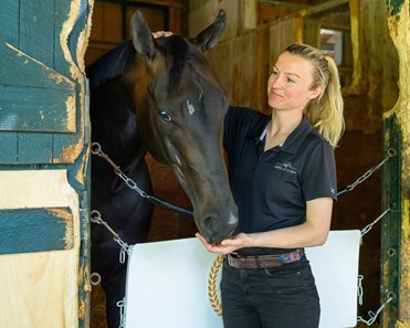 On Command - Horse Profile - BloodHorse