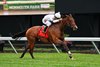 Whiskey Decision #7 with Samy Camacho up won the $150,000 Grade III Eatontown Stakes at Monmouth Park on Saturday June 14, 2025.  Photo by Taylor Ejdys/EQUI-PHOTO