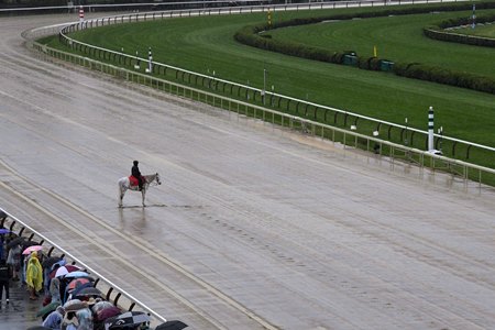 Rain has left the main track sloppy on Belmont Stakes day as of noon ET June 7, and the turf courses will not be used for the card