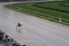 2025 Belmont Stakes Day, Saratoga Race Course