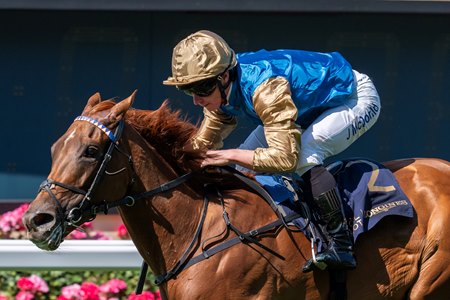 Crimson Advocate, a graduate of the 2022 OBS October Yearling Sale, wins the Duke of Cambridge Stakes at Ascot Racecourse