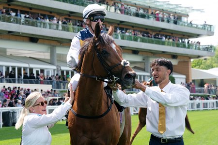 Docklands following his Queen Anne Stakes victory at Ascot Racecourse