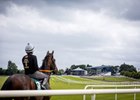 Scene, 2025 Goffs Classic Breeze, Naas Racecourse