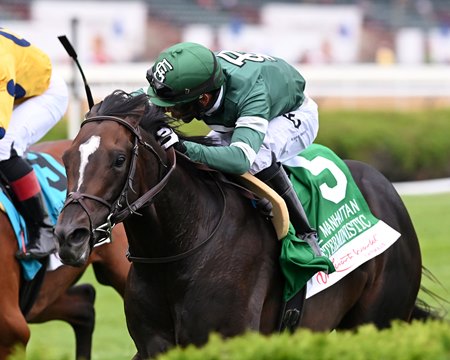 A half sister to Deterministic, winner of the Manhattan Stakes at Saratoga Race Course, is on offer in the sale