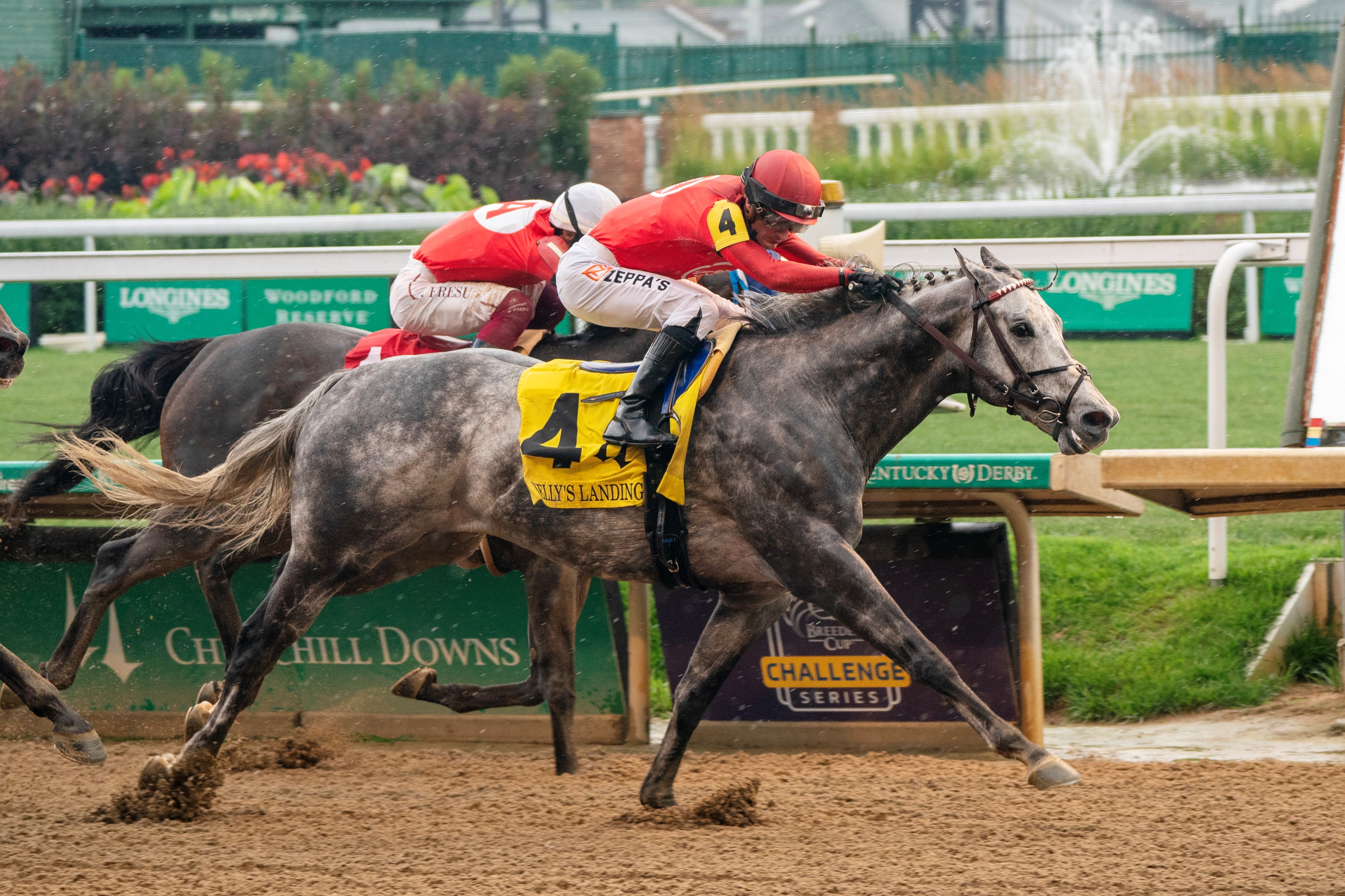 The Green Monkey Tries Turf - BloodHorse