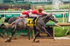 Roll On Big Joe and Julien Leparoux win the G3 Kelly&#39;s Landing Stakes at Churchill Downs, Louisville, KY,  6-28-25, Javier Molina-Bloodhorse