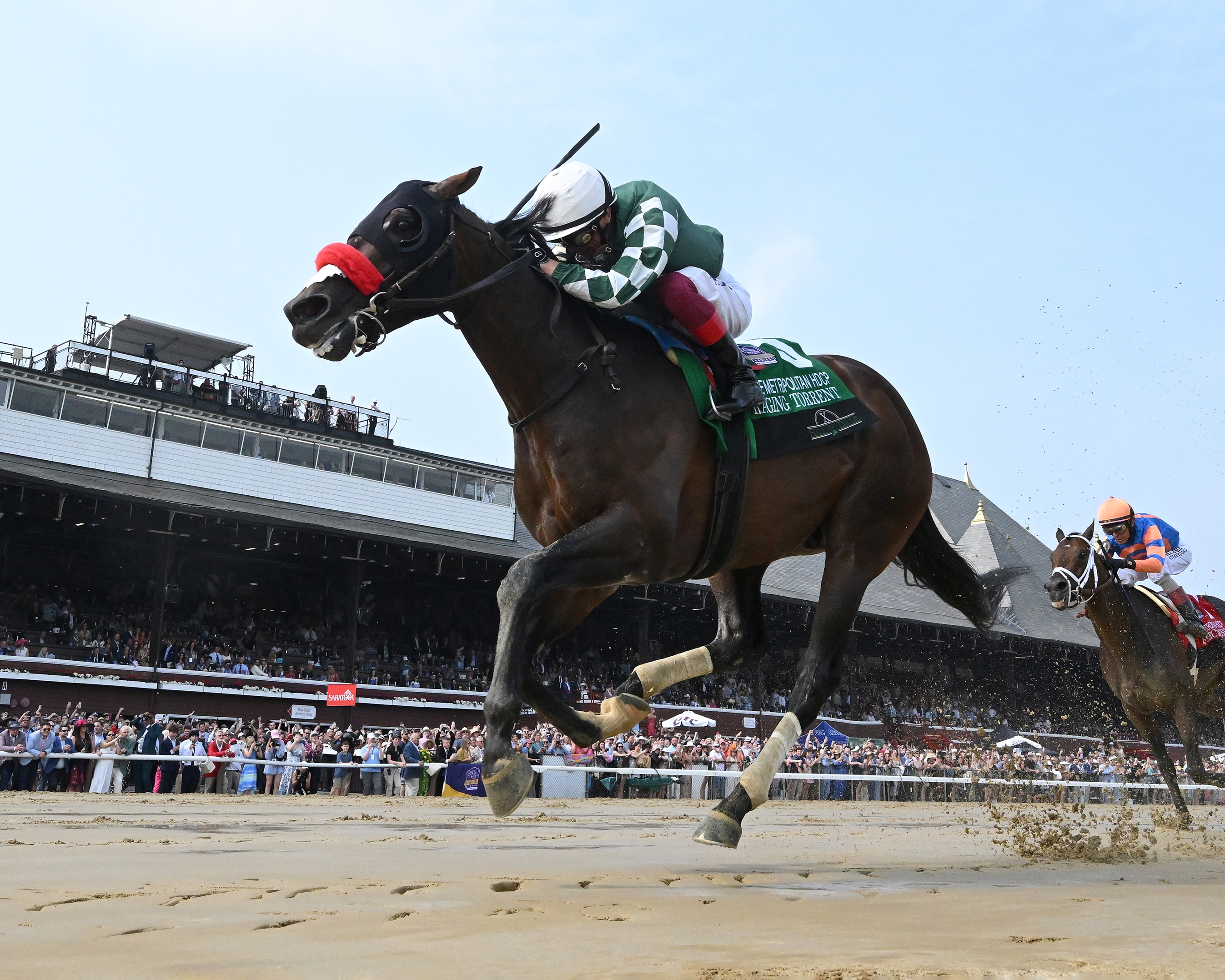 Raging Torrent - Horse Profile - BloodHorse