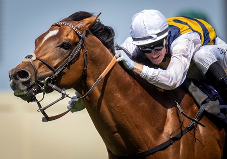 Mark Zahra guides Docklands to victory in Queen Anne Stakes