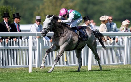 Field of Gold wins the St. James's Palace Stakes at Ascot Racecourse