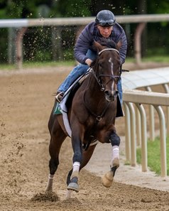 Sovereignty training at Saratoga Race Course