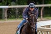 2025 Kentucky Derby winner Sovereignty with exercise rider Neil Poznansky put in his final work in preparations for the 225 Belmont Stakes for trainer Billy Mott this morning at the Oklahoma Training Track Sunday June 1 2025 in Saratoga Springs, N.Y. Photo  by Skip Dickstein