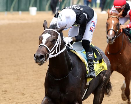 Romeo wins the Bashford Manor Stakes at Churchill Downs