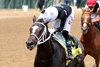 ROMEO wins the 2025 Bashford Manor Stakes at Churchill Downs