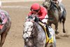 ROLL ON BIG JOE wins 2025 Kelly&#39;s Landing Stakes at Churchill Downs