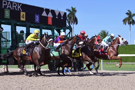 Racing at Gulfstream Park