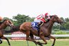 Redistricting #3 with Flavien Prat riding won the $600,000 Grade II  United Nations Stakes at Monmouth Park Racetrack in Oceanport, NJ on Saturday July 19, 2025.  Photo By Nikki Sherman/EQUI-PHOTO
