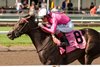 Jockey John Velazuez guides No Time to victory in the 70th Running of $500,000 Woodbine Oaks presented by Stella Artois. No Time is owned by Gary Barber and trained by Mark Casse. Woodbine/Michael Burns Photo